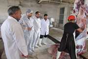 تشکیل کلاس کلاس آموزشی بهداشت و بازرشی گوشت در کشتارگاه دام اشتهارد